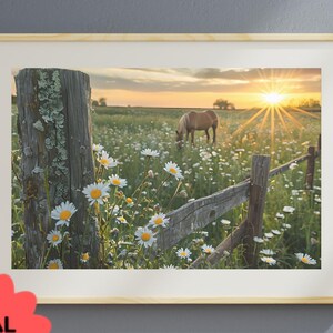 Horse in Daisy Field Digital Print | Pastoral Horse Wall Art | Rustic Farmhouse Printable | Country Nature Decor | Grazing Horse Download