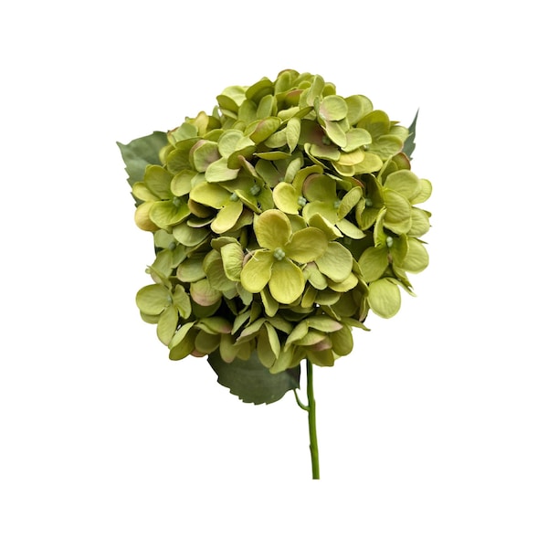 Green Hydrangea Floral Stem, Realistic Faux Flower, Vase Filler, Craft Supplies, Home Decorations Embellishments