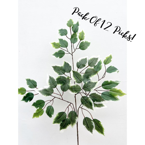 Artificial Variegated Ficus Spray Greenery 23" Pack of 12, Ficus Wreath Filler, Floral Filler Artificial Greenery, Leaf Filler Spray