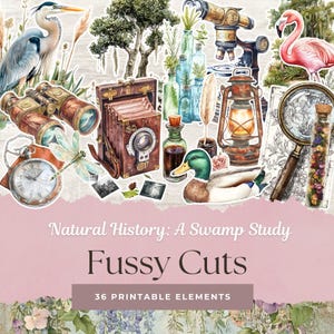Histoire naturelle des marais | Aquarelle botanique vintage Hérons Libellules Champignons Fleurs sauvages Art déco | SP009