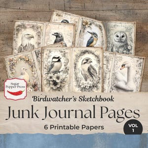 Páginas de diario basura de Bird Watcher / Cuaderno de bocetos de Birdwatcher, vol. 1, material efímero vintage, papel imprimible para álbumes de recortes, descarga digital JJ001