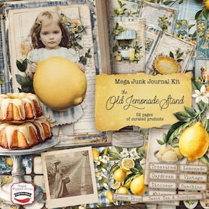 Shabby Chic Lemon Junk Journal Mega Kit, Summer Mason Jar pdf, vintage ephemera, zakken, enveloppen, afdrukbare papieren dagboekpagina's SP052
