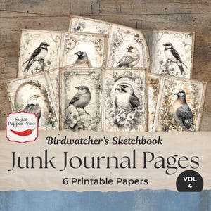 Bird Watcher Junk Journal Pages Vol 4 / Arte digitale colorata, stampe botaniche vintage, regalo per gli appassionati di birdwatching, classico JJ001