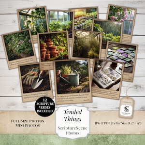 May include: A collection of 12 ScriptureScene photos, featuring gardening scenes with plants, tools, and greenhouses. The photos are arranged on a white wooden surface. The text "Tended Things" and "ScriptureScene Photos" are visible.