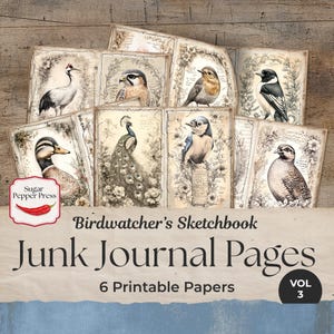 Páginas del diario basura de Bird Watcher, vol. 3, descarga digital, papel vintage y regalos para amantes de las manualidades y el scrapbooking, Birdwatcher JJ001