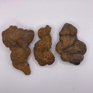 May include: Three brown, organically shaped objects are arranged against a white background. The objects have a rough, textured surface and varying shapes, with one resembling a rounded, elongated form and another a more compact, stacked appearance.