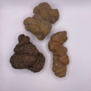 May include: Three irregularly shaped, textured, brown objects are displayed against a white background. The objects vary in size and shade, ranging from dark brown to a lighter, tan color. The objects have a rough, bumpy surface.