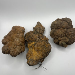 May include: Three irregularly shaped, textured, brown and tan objects are displayed against a white background. The objects have a rough, organic appearance, with varying shades of brown and hints of yellow.