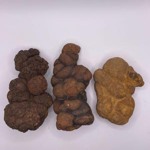 May include: Three irregularly shaped, textured rocks in shades of brown and tan. The rocks have a rough, bumpy surface and vary in size and shape, with the largest one in the center. The background is plain white.