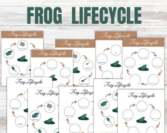 Ciclo de vida do sapo - Atividade educativa para imprimir (Download em PDF)