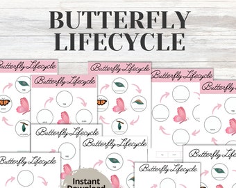 Ciclo de Vida da Borboleta - Material para Imprimir | Aprendizagem em Casa (Download em PDF)