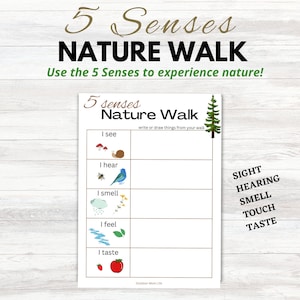 5 SENSES NATURE WALK | Scavenger Hunt Printable | Outside Sensory Nature Activity | Nature Scavenger Walk | Instant Download