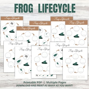 May include: Printable frog lifecycle worksheets with illustrations of a frog, tadpole, and eggs. The worksheets are labeled "Frog Lifecycle" and have circles for students to write in the different stages of a frog's life.