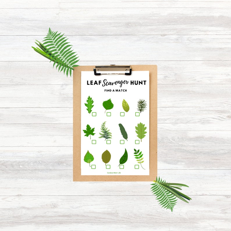 Leaf Scavenger Hunt Printable | Nature Activity (PDF) - Etsy