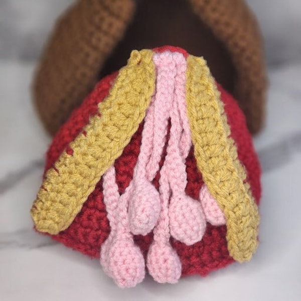 Modèle d'anatomie du sein au crochet fait à la main