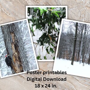 Winter Snow Posters