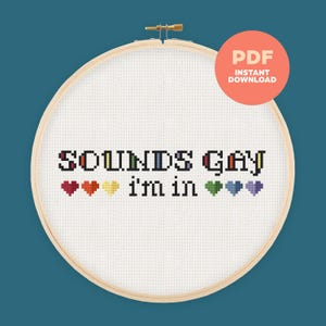 Sounds Gay, I&#39;m In Cross Stitch Pattern - Funny PDF Pattern, LGBTQ+ Pride Decor, Instant Download, Modern Cross Stitch Gift