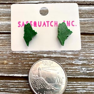Maine resin earrings
