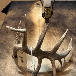 May include: A table lamp constructed from natural brown deer antlers, featuring a single brass-colored light socket with a white bulb. A beige rectangular tag with the handwritten number 3235 is attached to the antler base with a white cord.