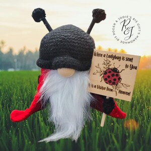 Crochet Gnome Crochet Gonk, Crochet Decor, Shelf Sitter, Rustic Home Decor, Crochet Home Items, Gnomes, Gonks, Ladybug Gnome