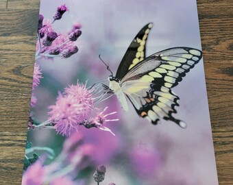 Monarch Butterfly Wall Art