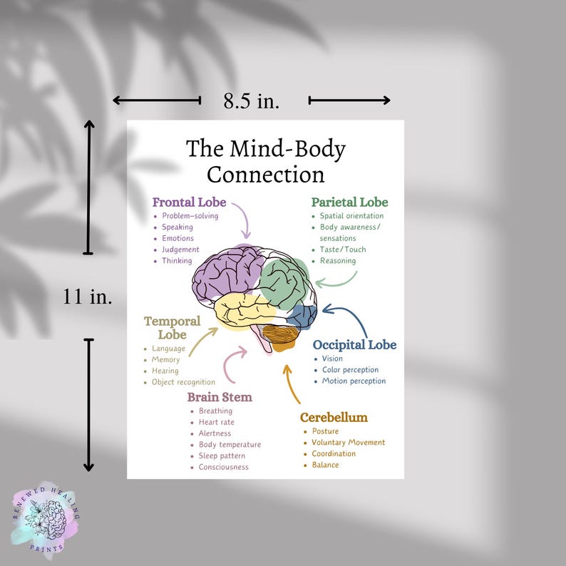 Brain Anatomy Poster: Mind-body Connection, Neurology Print - Etsy