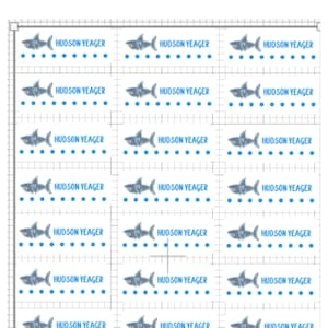 Shark Labels