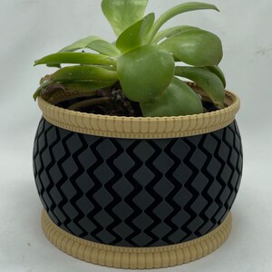 Imperial Beauty Decorative Bowl/Planter 3d printed