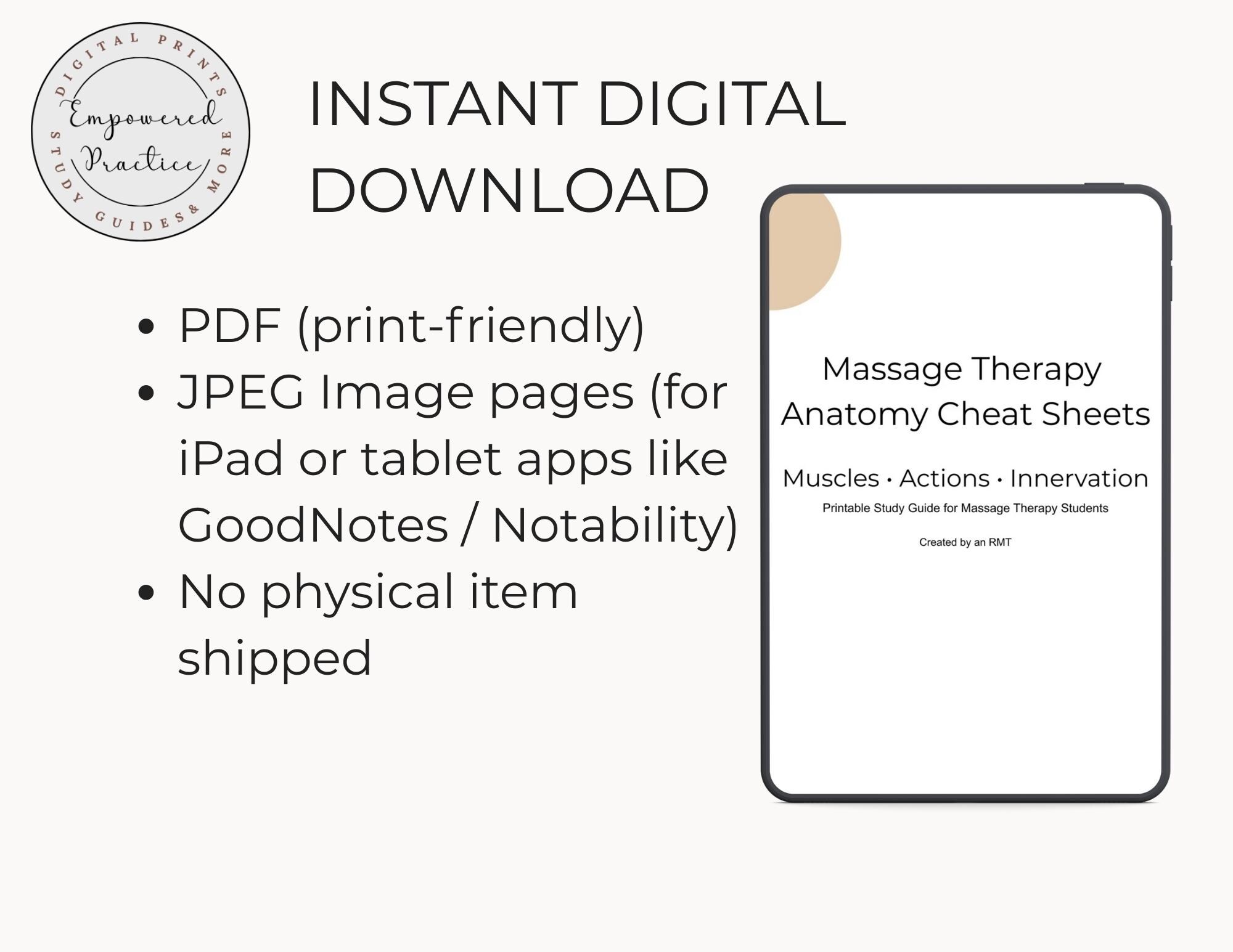 Massage Therapy Anatomy Study Guide | Muscle Charts (PDF) - Etsy