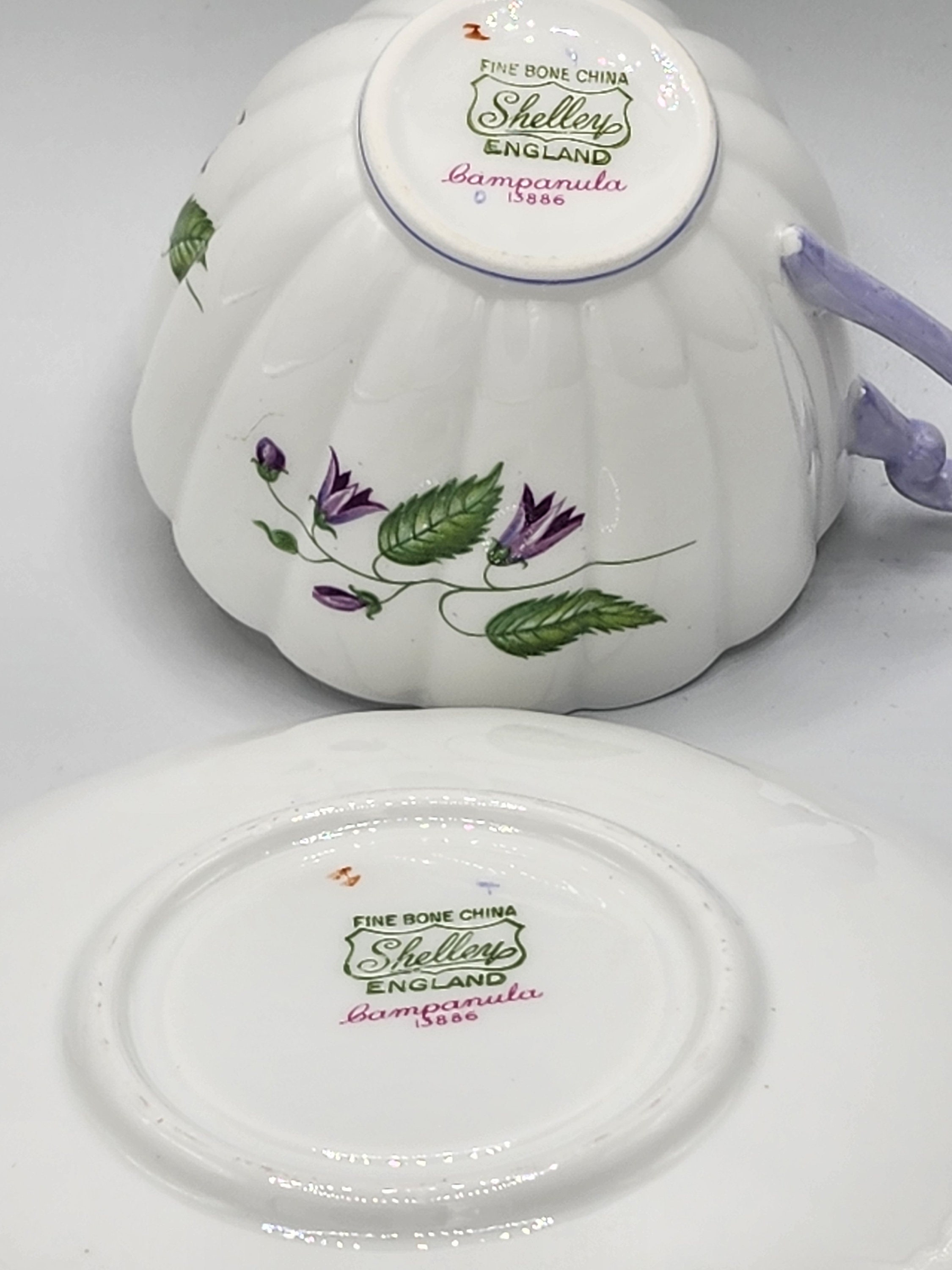 Elegant Shelley England Bone China Tea Cup & Saucer Set