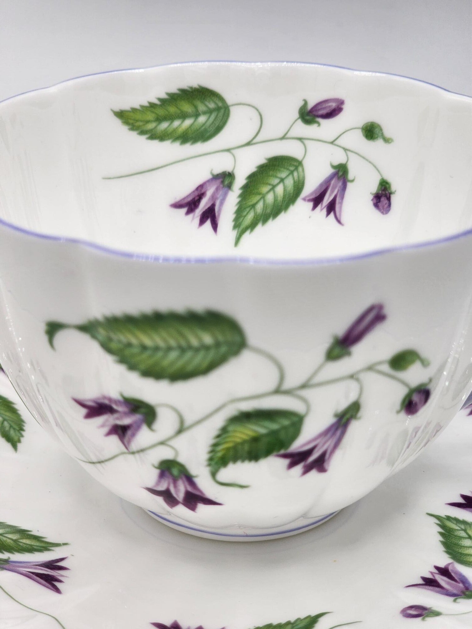 Elegant Shelley England Bone China Tea Cup & Saucer Set