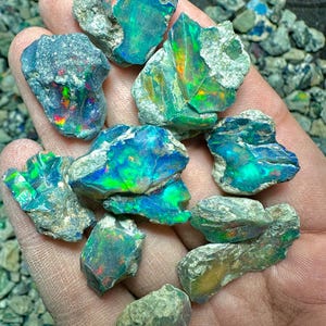 May include: A handful of rough opal stones, showcasing vibrant flashes of color. The opals display a mix of blues, greens, and reds, with a rough, textured exterior. The stones are held in a hand, with a background of similar, smaller stones.