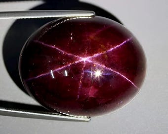 Natural 4 Rays Star Garnet Cabochon: 15 Carat Loose Gemstone