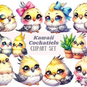 Acquerello Kawaii Cockatiel Clipart Chibi Pet Bird PNG Download di immagini digitali per la realizzazione di cartoline Scrapbook Junk Journal Paper Craft