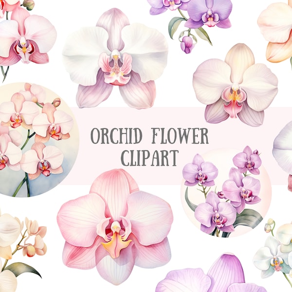 Aquarelle Orchidée Fleur Clipart Printemps Fleur Éléments PNG Téléchargements d’images numériques pour la fabrication de cartes Scrapbook Junk Journal Paper Crafts