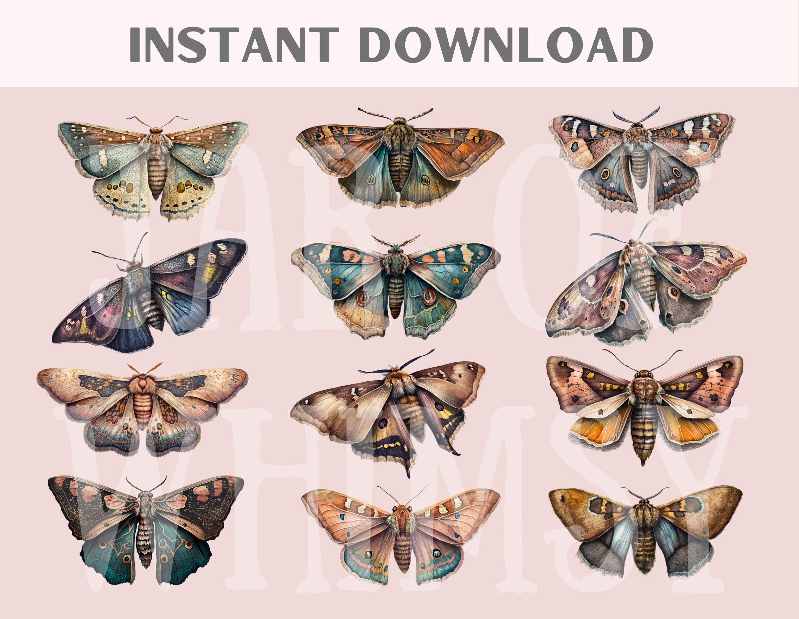 Watercolour Boho Moths Clipart Rustic Moth PNG Digital Image Downloads ...