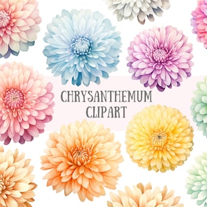 Aquarelle chrysanthème Clipart printemps fleur éléments PNG Image numérique à télécharger pour la fabrication de cartes Scrapbook Junk Journal travaux manuels en papier