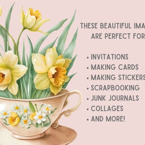 May include: A watercolor illustration of a bouquet of yellow daffodils in a teacup. The teacup is decorated with white and yellow flowers. The text "THESE BEAUTIFUL IMAGES ARE PERFECT FOR: INVITATIONS, MAKING CARDS, MAKING STICKERS, SCRAPBOOKING, JUNK JOURNALS, COLLAGES, AND MORE!" is written in gray text on a pink background.