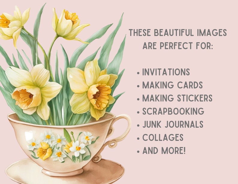 May include: A watercolor illustration of a bouquet of yellow daffodils in a teacup. The teacup is decorated with white and yellow flowers. The text "THESE BEAUTIFUL IMAGES ARE PERFECT FOR: INVITATIONS, MAKING CARDS, MAKING STICKERS, SCRAPBOOKING, JUNK JOURNALS, COLLAGES, AND MORE!" is written in gray text on a pink background.