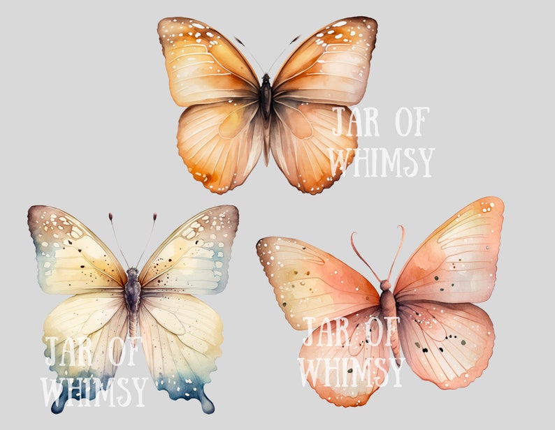 May include: Three watercolor illustrations of butterflies with brown, yellow, and orange wings. The butterflies are on a light gray background. The text "JAR OF WHIMSY" appears twice in the image.