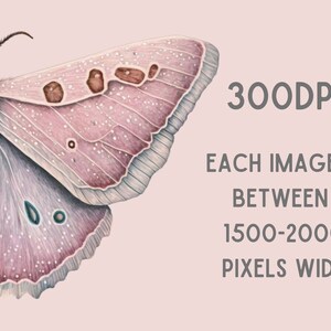 Akvarell pastellmalar Clipart Luna Moth PNG Digitala bildnedladdningar för korttillverkning Scrapbook Junk Journal Papperspyssel bild 3