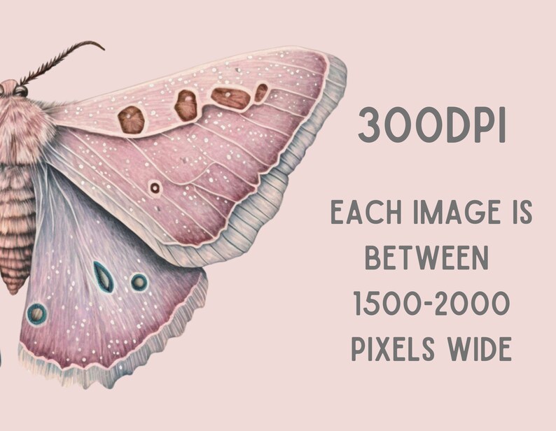 Akvarell pastellmalar Clipart Luna Moth PNG Digitala bildnedladdningar för korttillverkning Scrapbook Junk Journal Papperspyssel bild 3