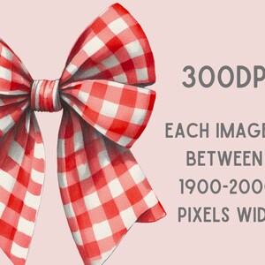 May include: A red and white gingham bow with a large, centered knot. The bow is tied in a classic style with two loops and tails.
