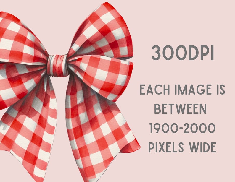 May include: A red and white gingham bow with a large, centered knot. The bow is tied in a classic style with two loops and tails.