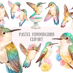 Aquarel pastel kolibrie clipart schattige regenboog vogel PNG digitale afbeeldingsdownloads voor kaart maken plakboek ongewenste dagboek papier ambachten