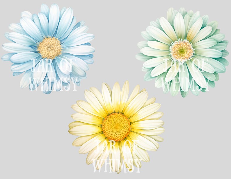 May include: Three watercolor illustrations of daisies in different colors. The first daisy is light blue, the second is light green, and the third is yellow with a white center.
