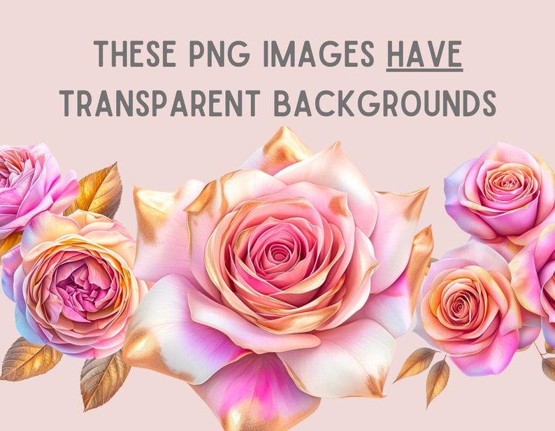 Watercolour Pink and Gold Rose Clipart Flower Floral Bouquet PNG ...