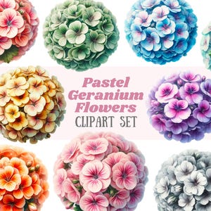 Aquarel pastel geranium bloem clipart bloem elementen PNG digitale afbeelding downloads voor kaart maken plakboek ongewenste dagboek papier ambachten