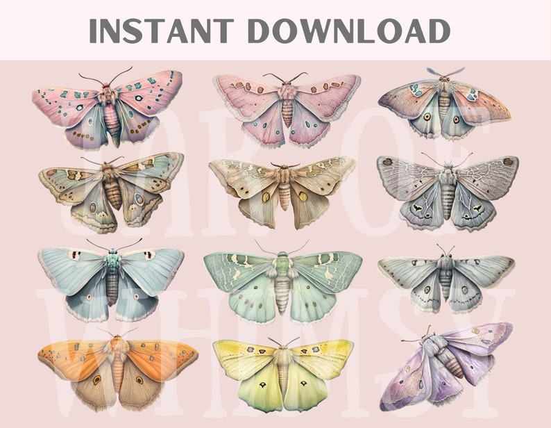 Akvarell pastellmalar Clipart Luna Moth PNG Digitala bildnedladdningar för korttillverkning Scrapbook Junk Journal Papperspyssel bild 2