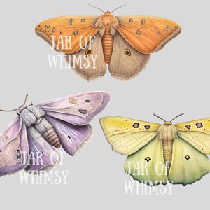 Akvarell pastellmalar Clipart Luna Moth PNG Digitala bildnedladdningar för korttillverkning Scrapbook Junk Journal Papperspyssel bild 10